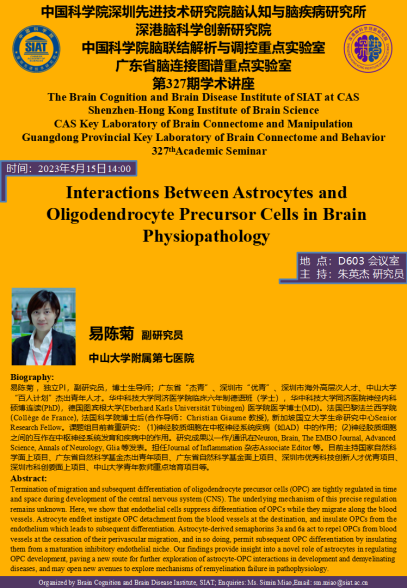 Interactions Between Astrocytes and Oligodendrocyte Precursor Cells in Brain Physiopathology